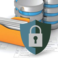 Database Protection Database Protection